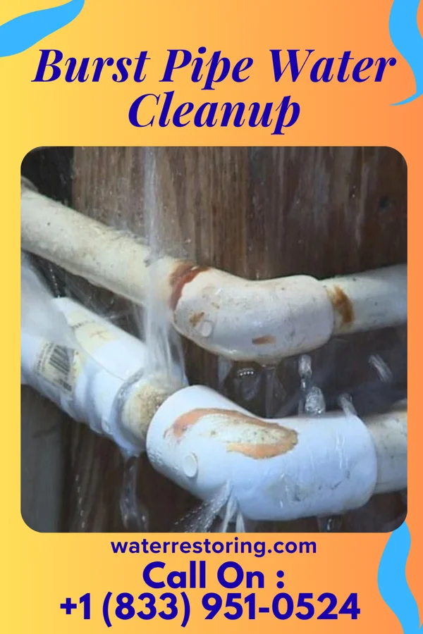 Burst Pipe Water Cleanup in West Scio, OR