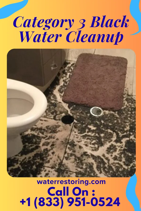 Category 3 Black Water Cleanup in West Scio, OR
